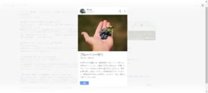 野の実 ブルーベリー狩り